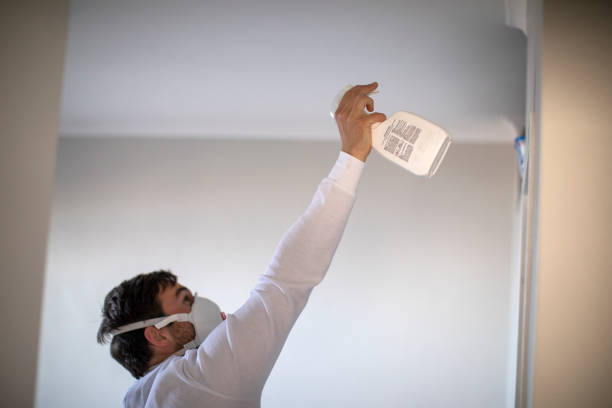 Best Mold Cleaning Services  in Glen Ellen, CA