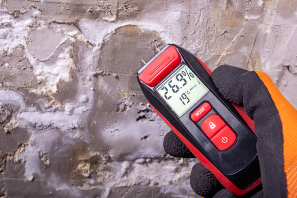 Best Mold Remediation  in Glen Ellen, CA