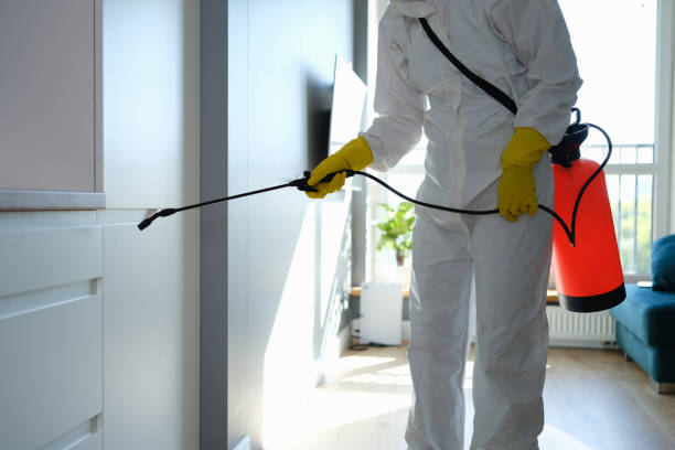 Best Commercial Mold Removal  in Glen Ellen, CA
