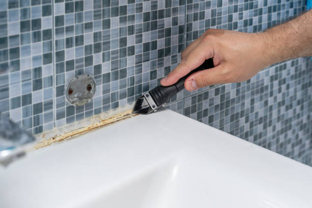 Best Attic Mold Removal  in Glen Ellen, CA