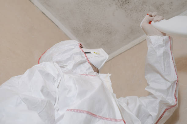Best Local Mold Removal Service  in Glen Ellen, CA